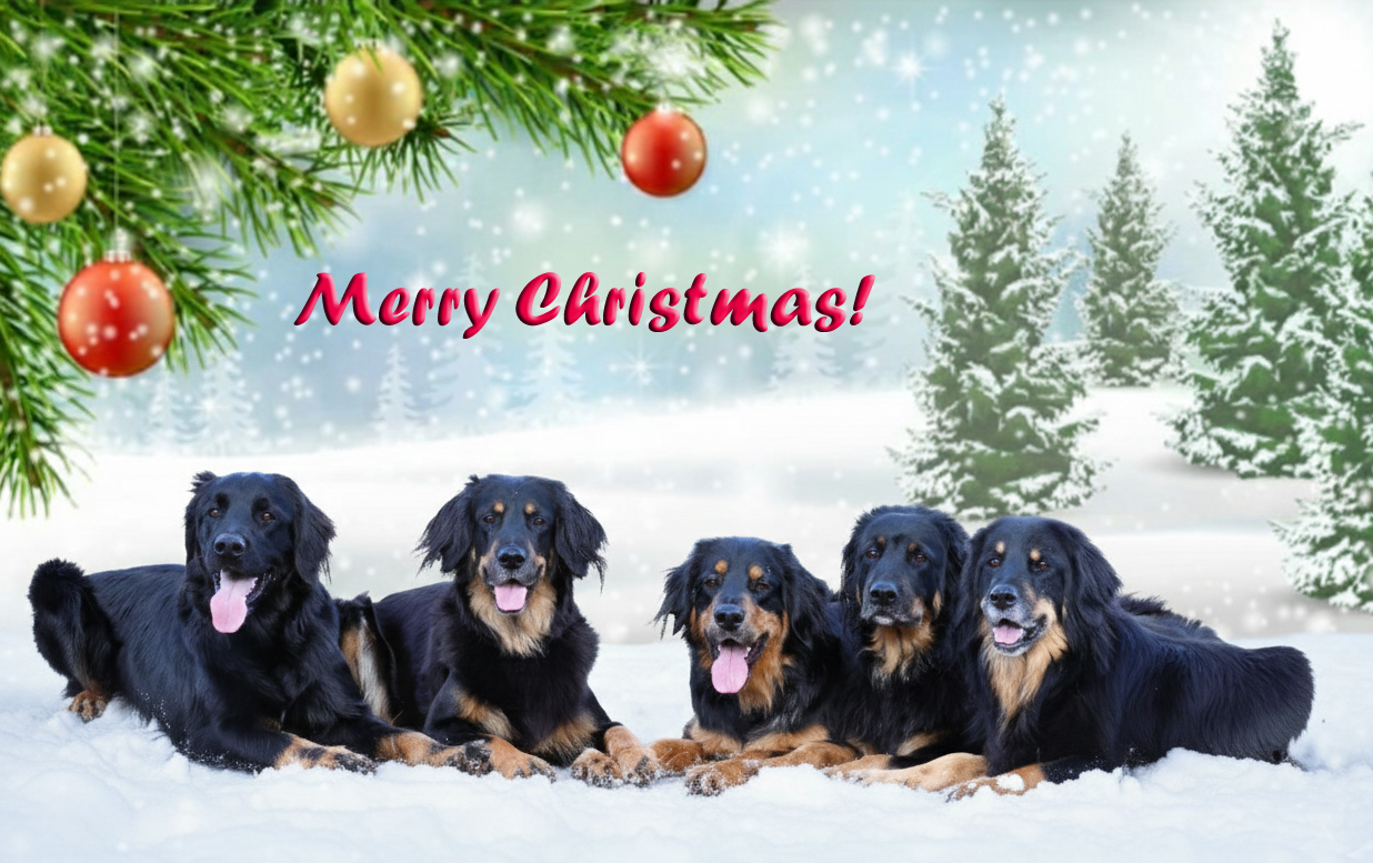 Kellemes karácsonyi ünnepeket!