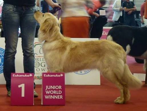 Pusztai-Pandur Iris 2013 Fiatal Vil�ggy?ztes, Best Junior